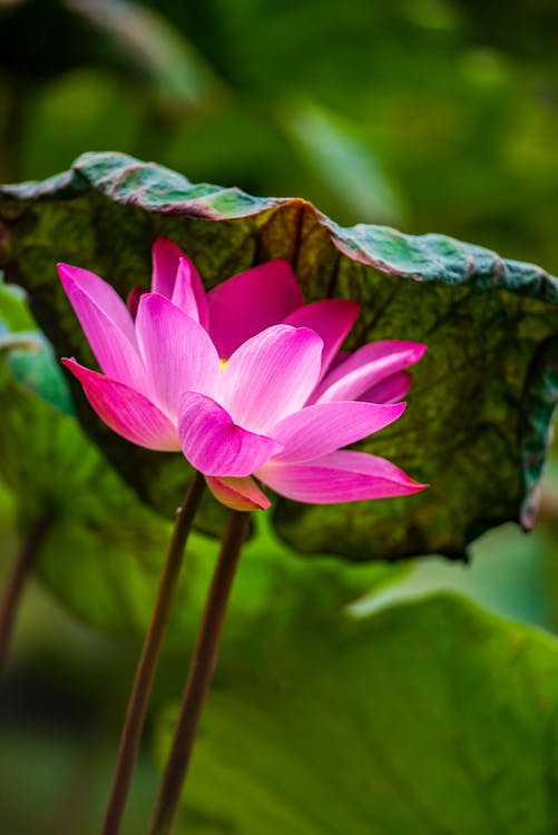 把手机拍摄的图片或视频传到电脑的3个简单方法