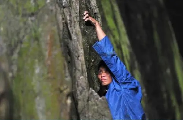 贵州背尸人完整版,背尸人悬棺