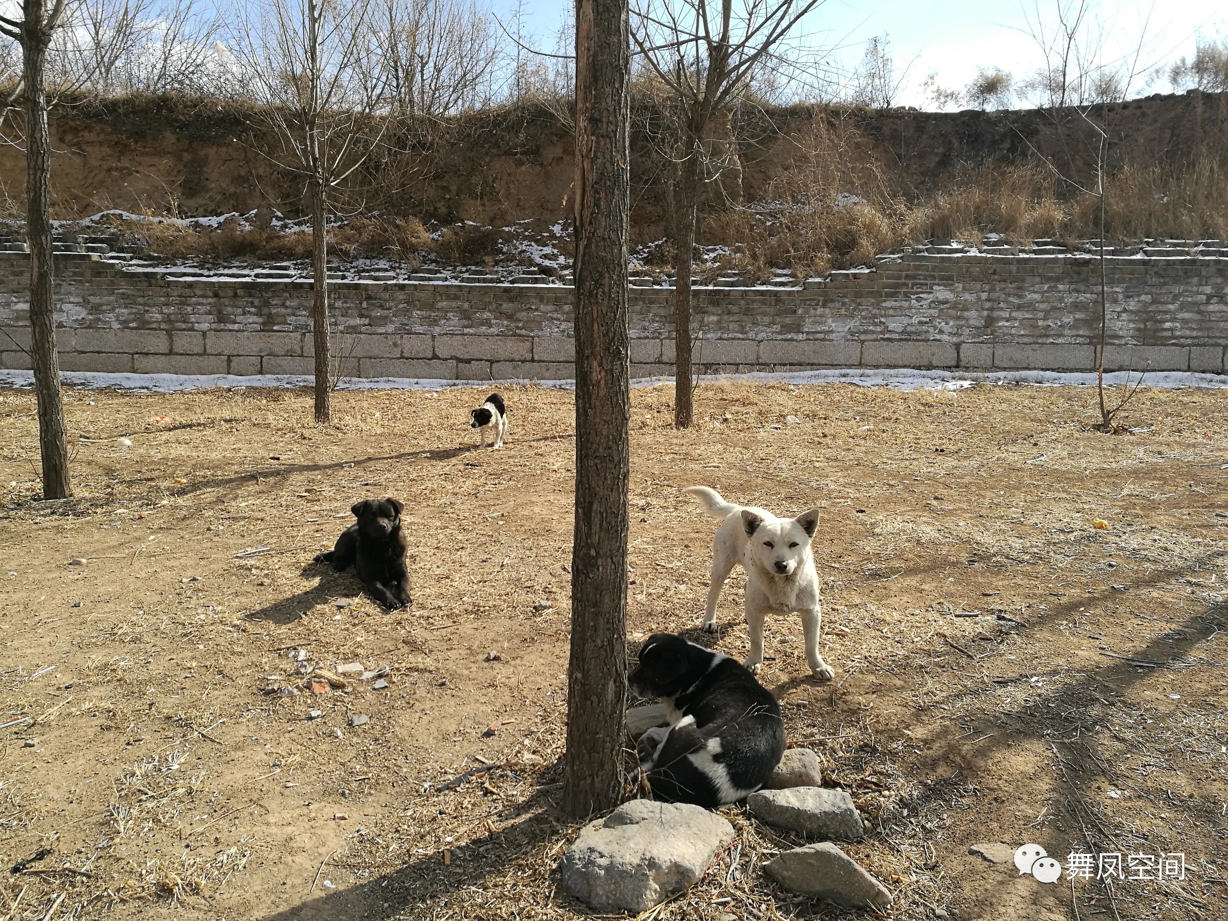 延庆柳沟豆腐宴,延庆柳沟豆腐宴目前接待游客吗