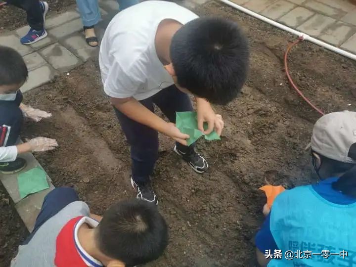 北京市上地实验学校片区,北京市上地实验学校2021