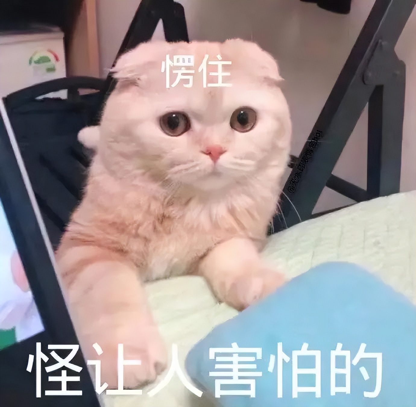 阳后视力下降补救方法,阳后视力模糊的原因