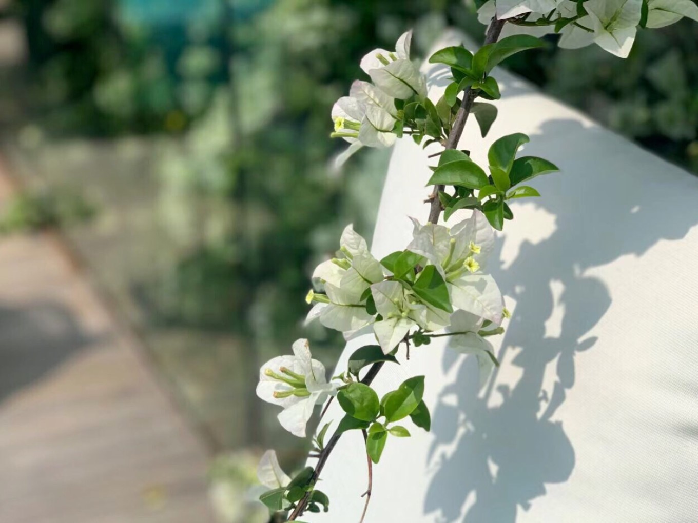 带你玩转北海涠洲岛最全攻略,带你去看海涠洲岛3天2晚行程推荐