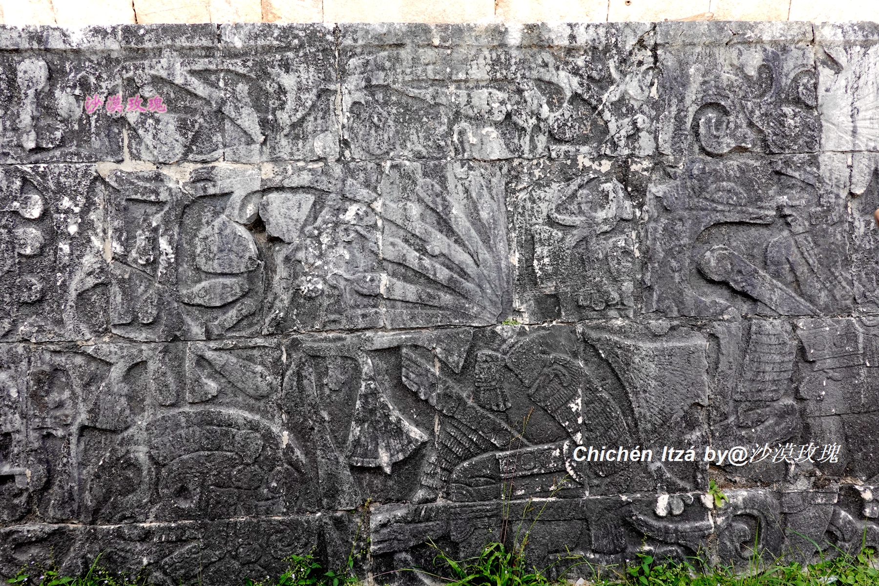 墨西哥足球暴力,墨西哥足球最高赛事