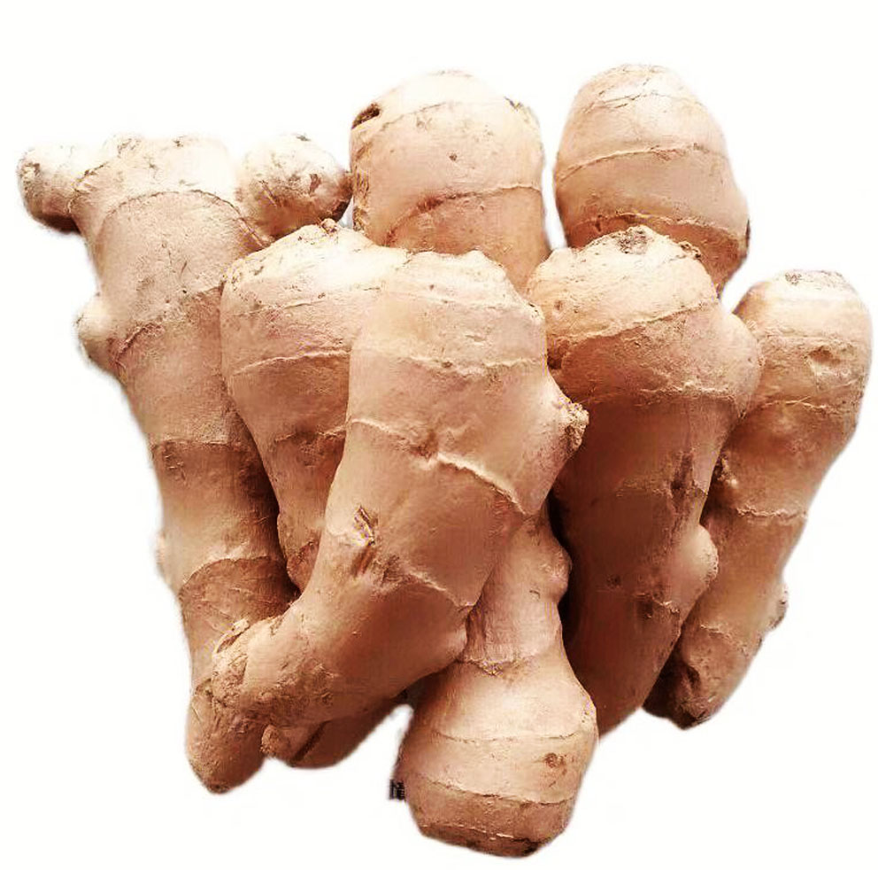 生姜吃法养生知识,生姜各种效用的视频