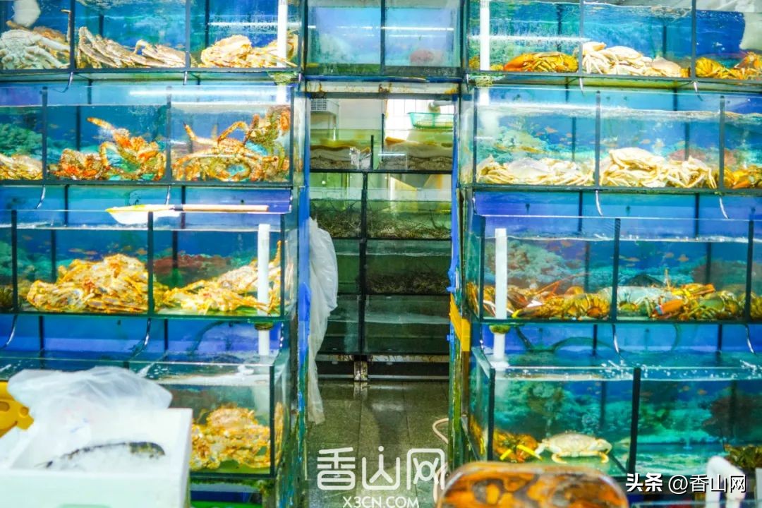 珠海专门吃海鲜地方,珠海海鲜市场吃海鲜哪里便宜