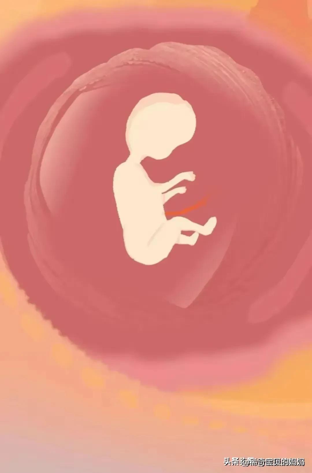 绮惧瓙杩涘叆浜轰綋12灏忔椂鍙樺寲,绮惧瓙杩涘叆浜轰綋24灏忔椂鍙樺寲