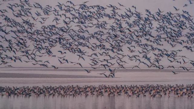 2022年春节放假时间出炉!这份旅行攻略请查收