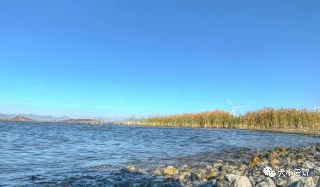 自驾游自带帐篷海边游玩攻略,亲子玩水攻略自驾游