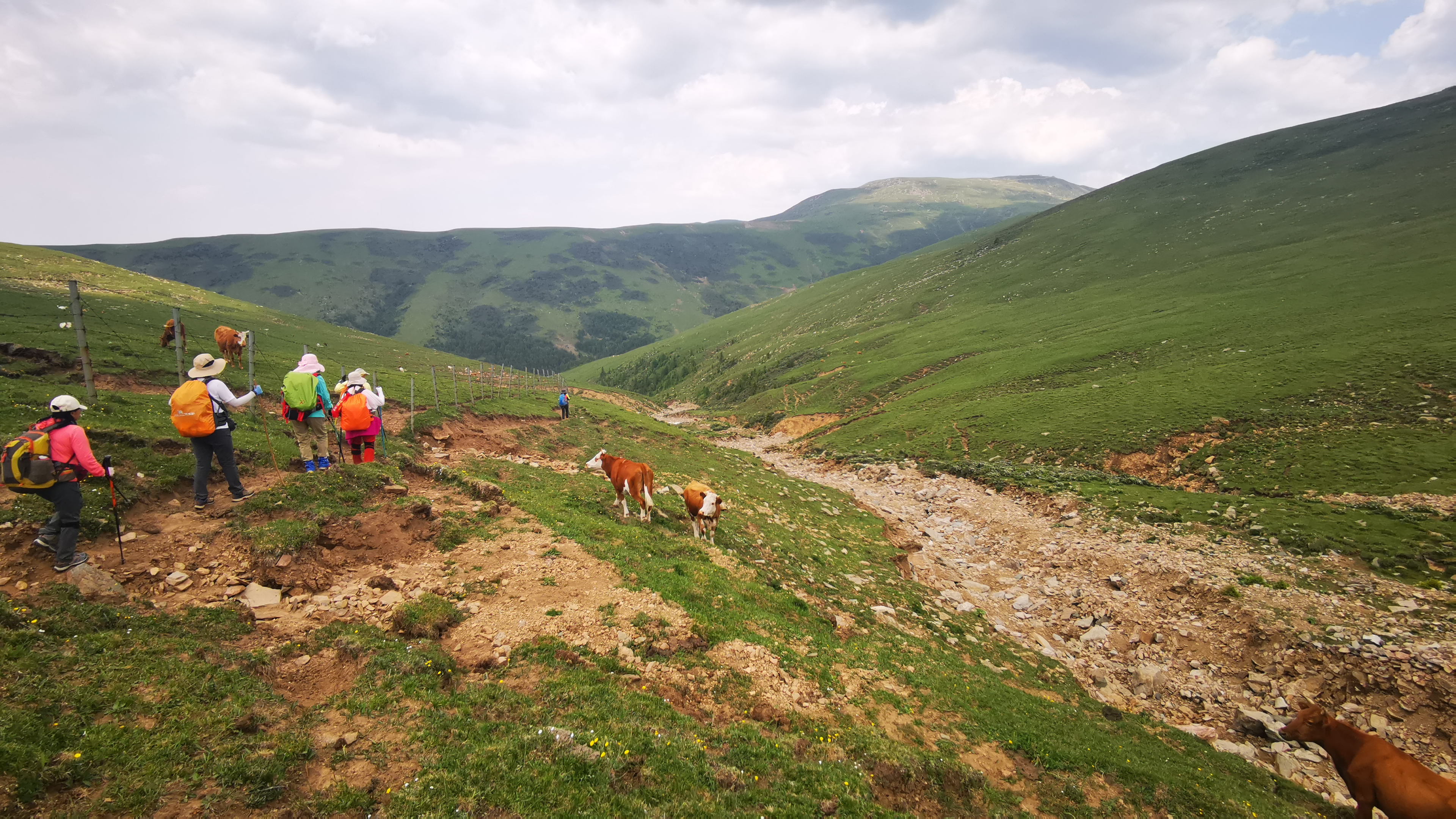 端午节五台山三日大五朝台第二天（西台-中台-插旗台-澡浴池）