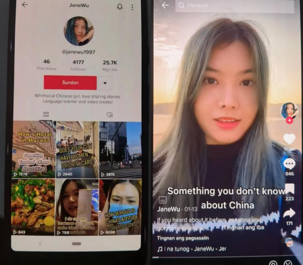 tiktokshop是什么,tiktok海外淘金