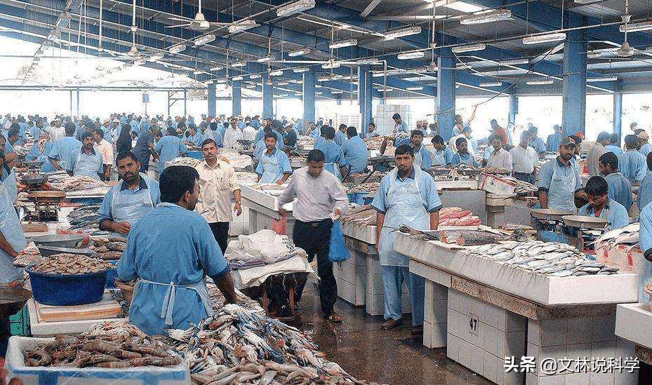 迪拜到底有多富裕看下菜市场,迪拜到底有多富裕