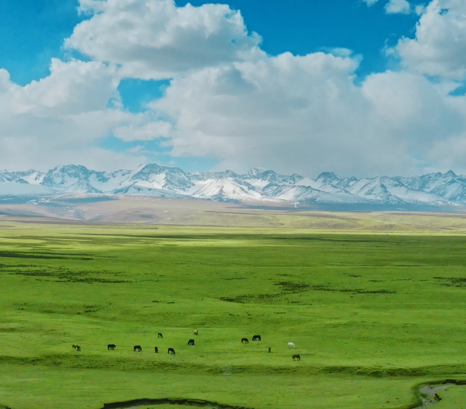 盘点新疆17个5a级风景区,国家aaaaa级沙漠旅游风景区