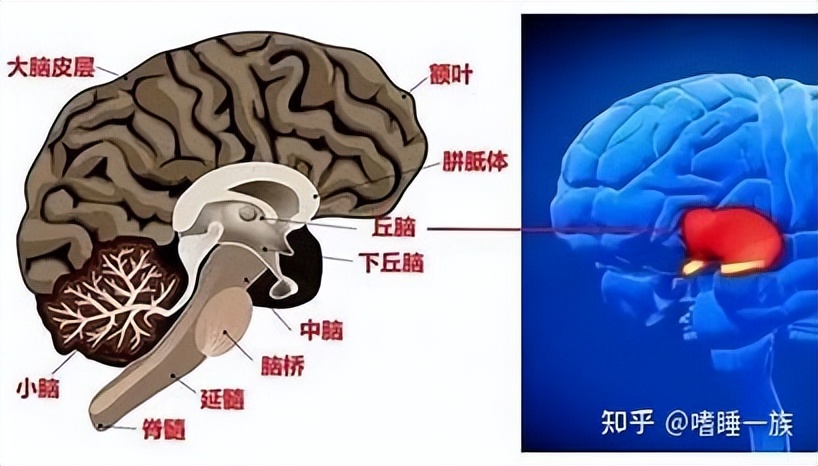 患上ptsd怎么办,ptsd表现症状