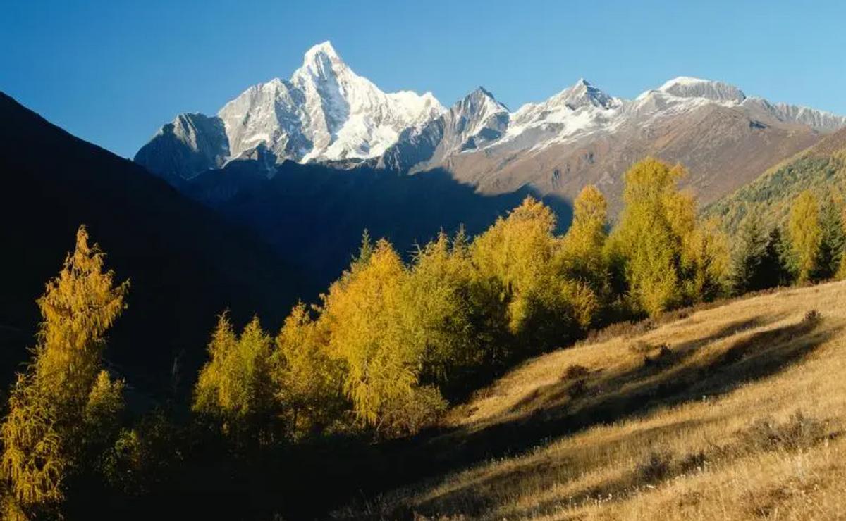 增加财运的办公桌布置,办公桌布置招财