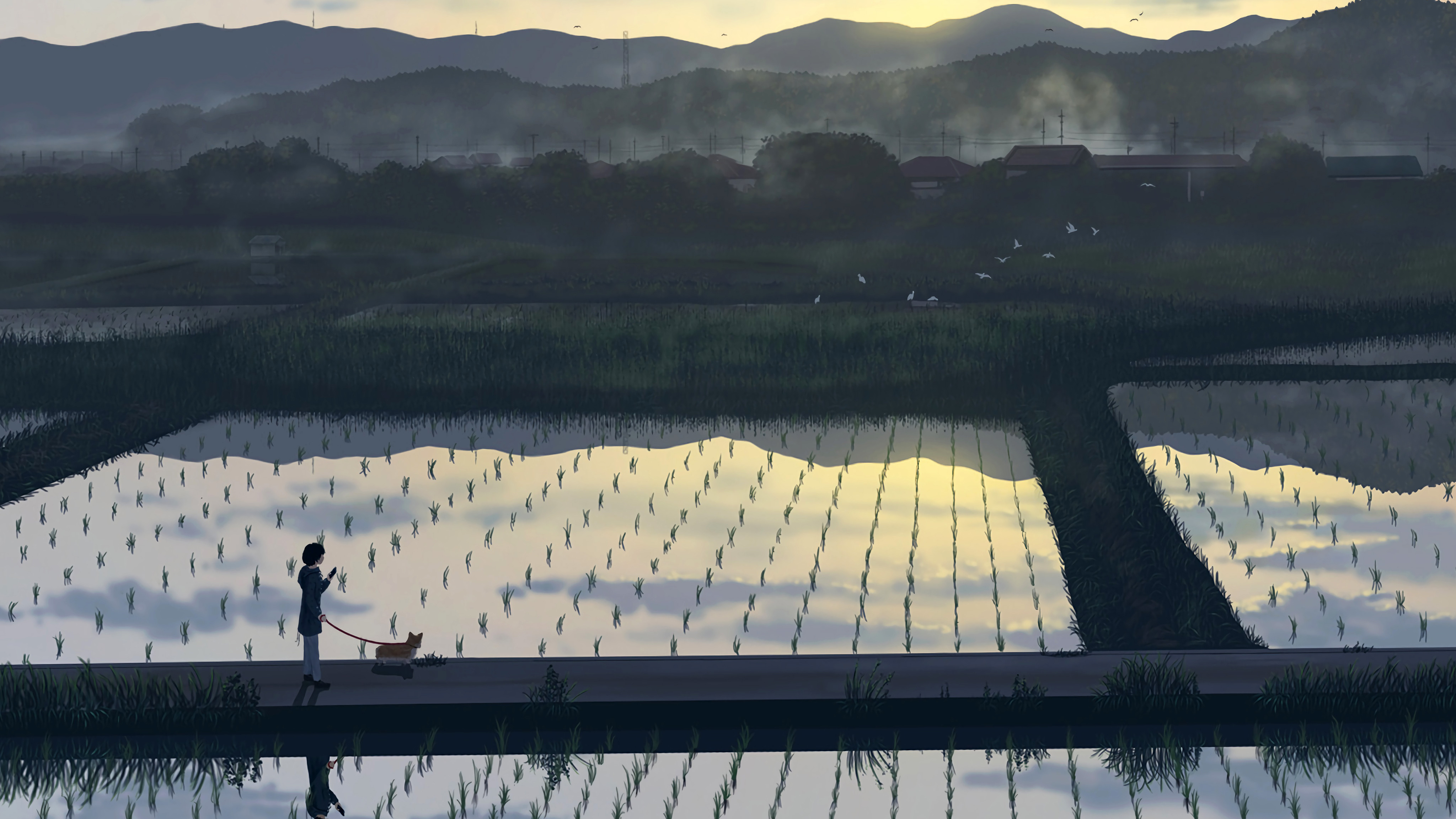 好看的电脑桌面壁纸高清全屏可爱,电脑桌面壁纸怎么设置自己的图片