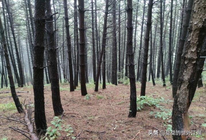 门头沟景区推荐,北京门头沟野山好去处