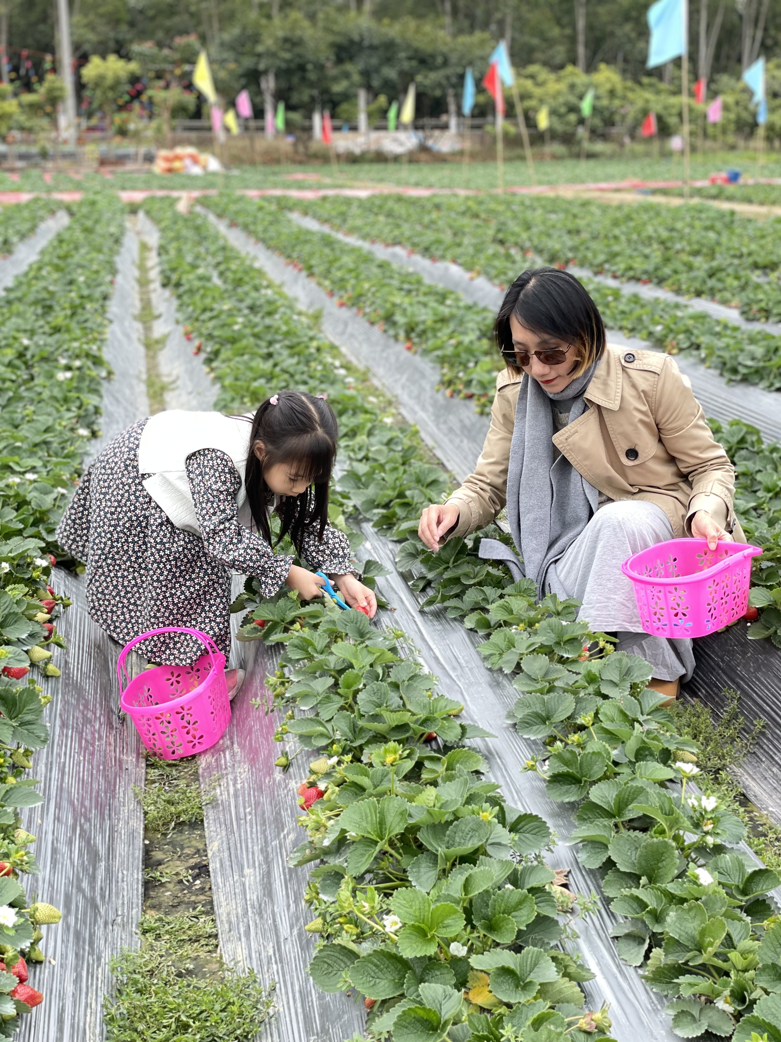 广州南昆山温泉旅游攻略,秋冬季来临广东热门温泉攻略