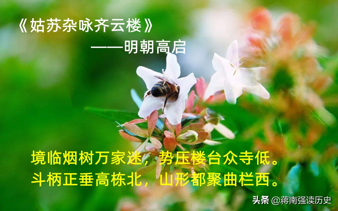 夏至，齐云楼上事，白居易代言的网红打卡地