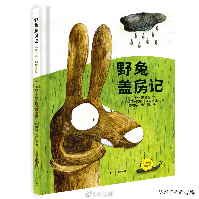 玉兔知识大全,玉兔新春