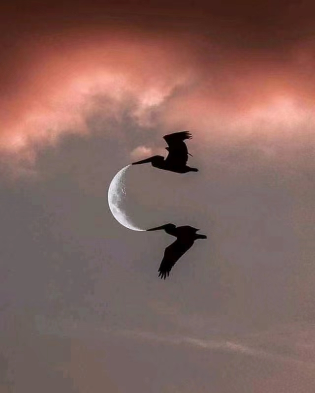 经济下半场十大趋势,未来十年经济研判