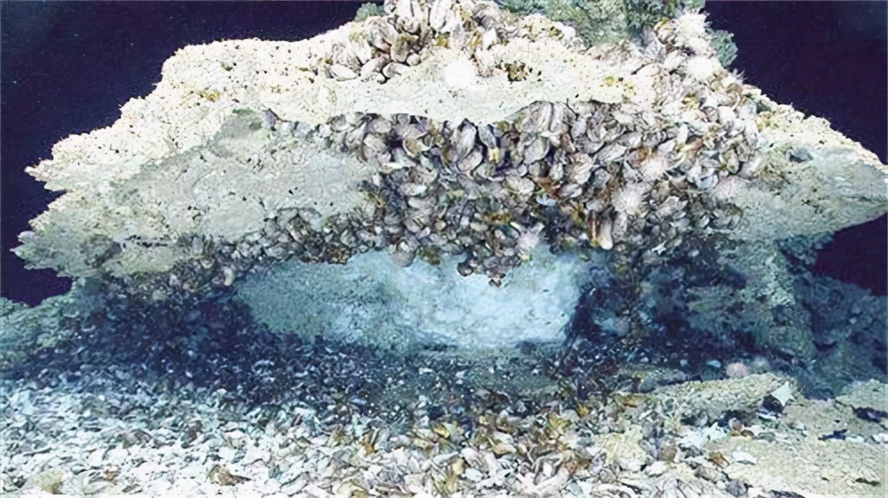 中国可燃冰蓝鲸一号,中国在南海真的发现可燃冰吗