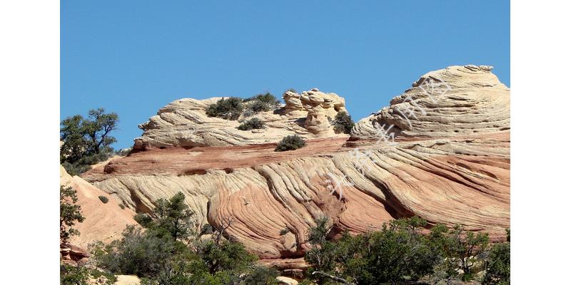 带孩子去亲戚家玩被忽略,带孩子去玩把孩子弄丢了