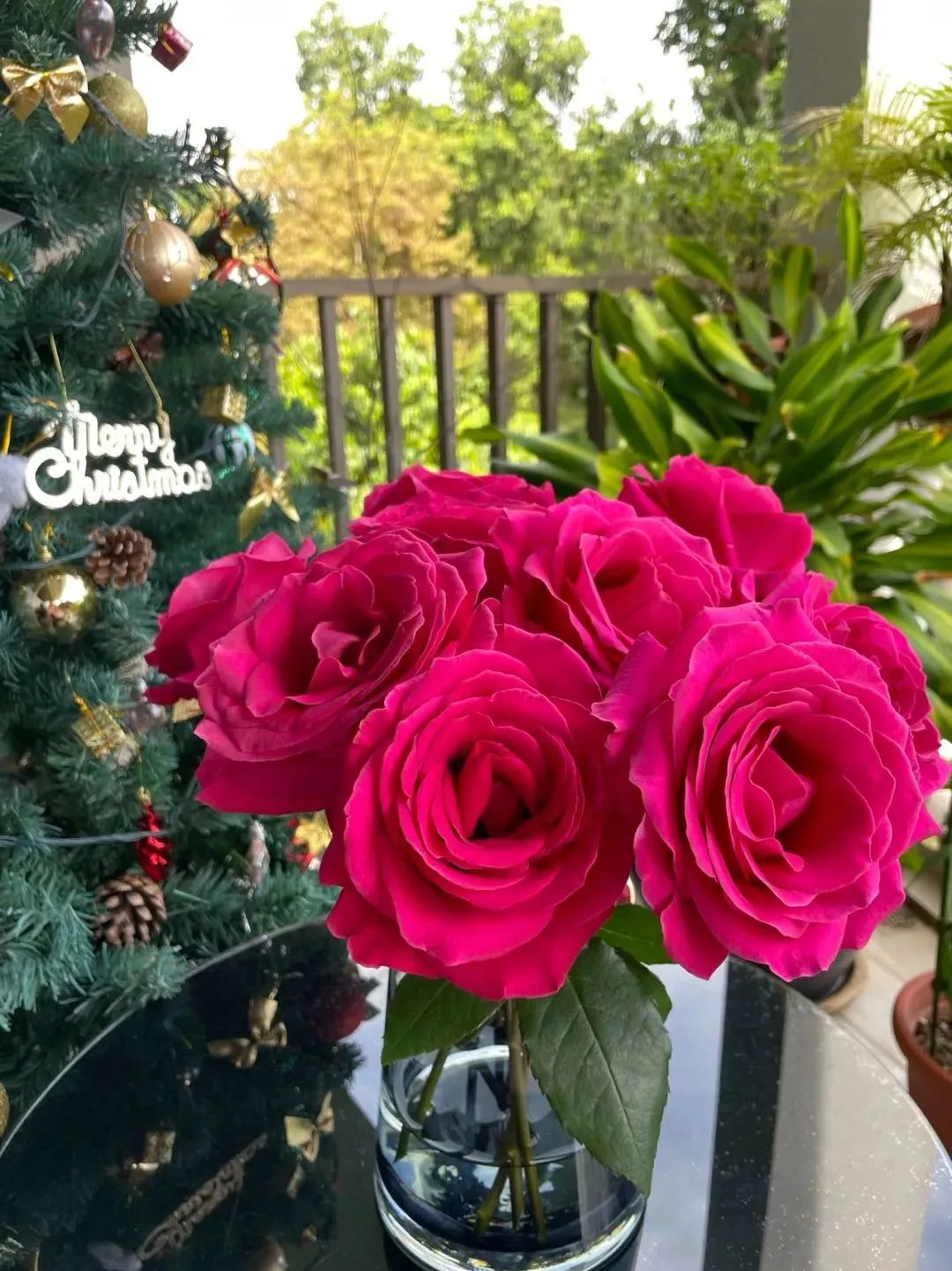 鲜花在水里能养几天会死,新加坡盆栽花卉怎么养