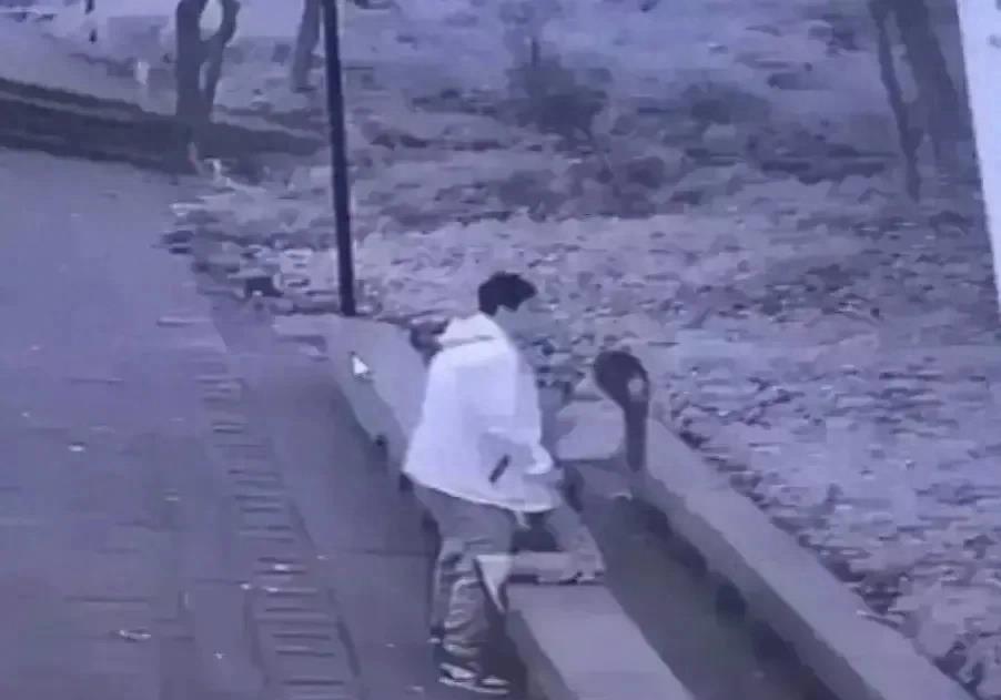 太辣眼睛了!防火指挥中心*放播**年轻男女不雅视频还有现场解说的!