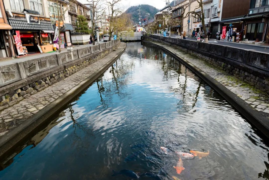 涔愰珮202001,0.01鏃ユ湰