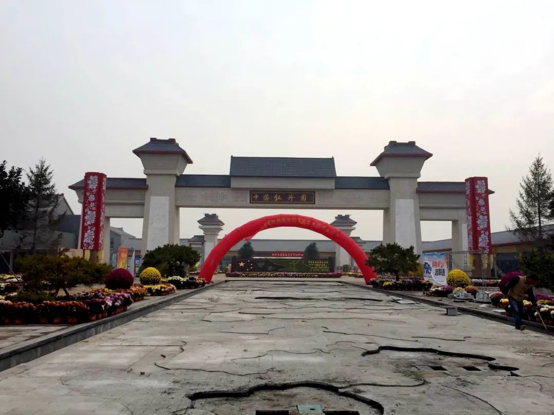 菏泽牡丹节赏花攻略,菏泽春日赏花攻略