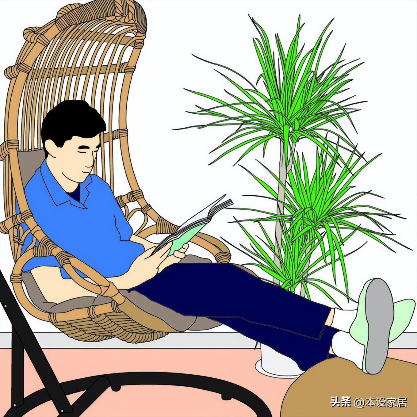 吸甲醛净化空气的绿植和花有哪些,室内净化空气用什么绿植最好