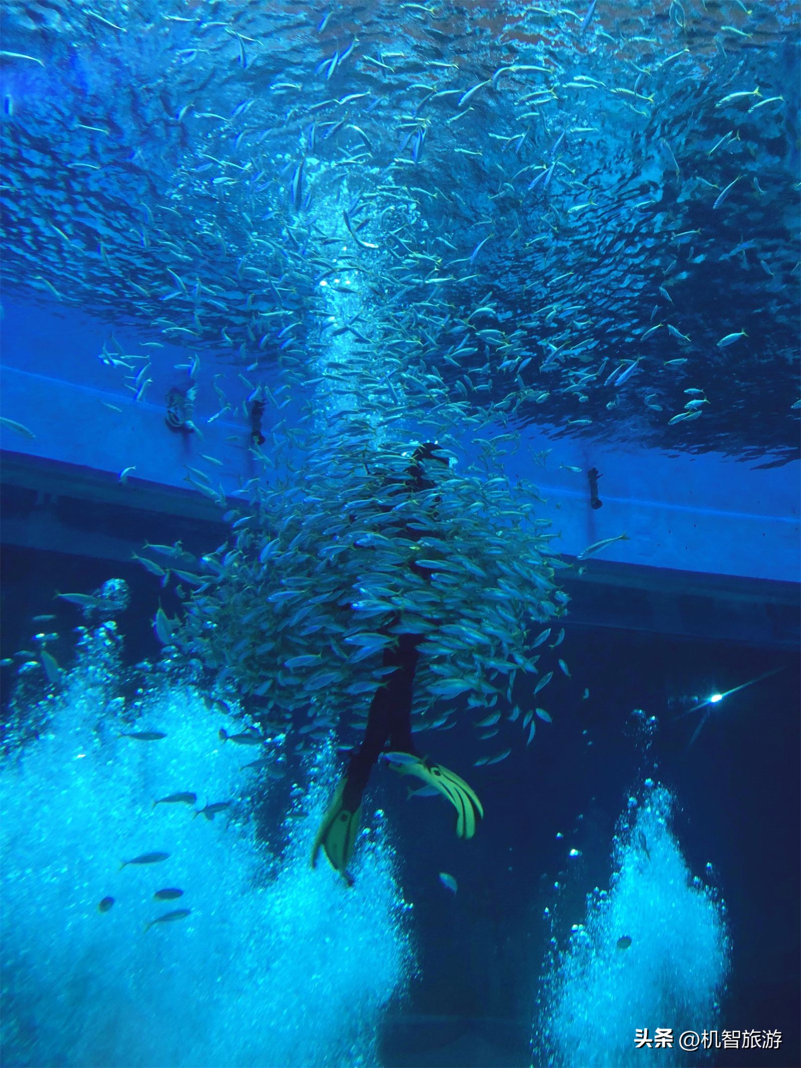 山东日照哪里有风景区,日照风景有多美