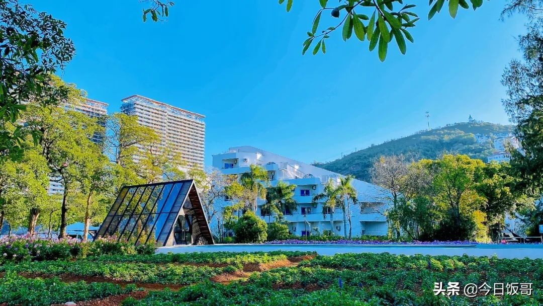 深圳清明旅游海边推荐哪里,深圳清明海边旅游攻略