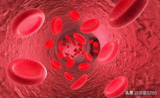 恐龙血型是个什么血型呢？