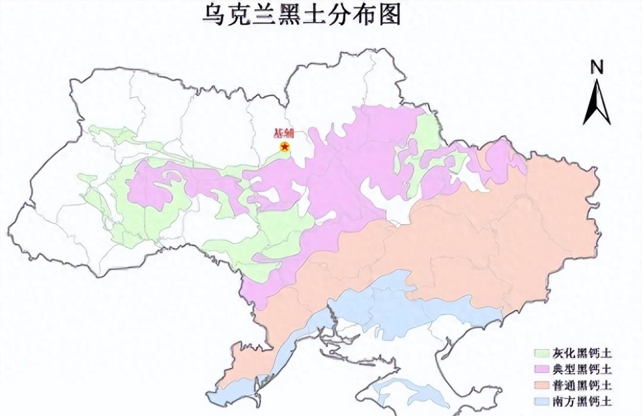 熊猫40年血泪史,大熊猫之殇