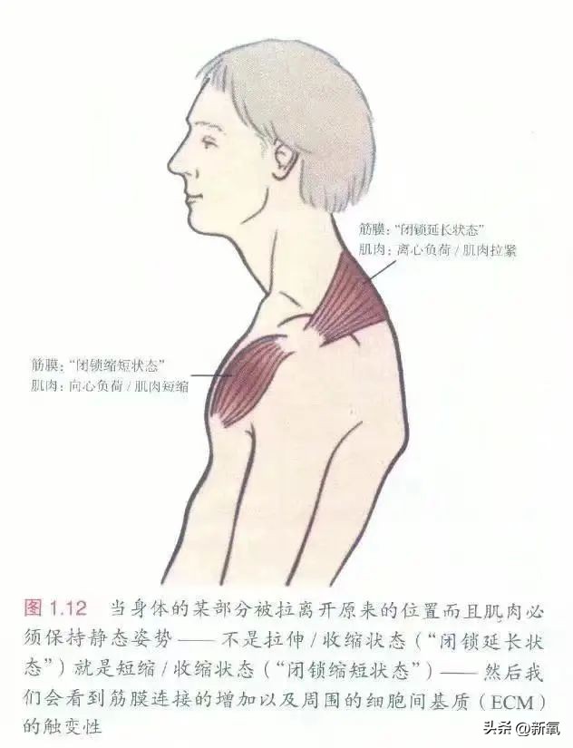 脸太下垂,脸下垂了是不是就显胖