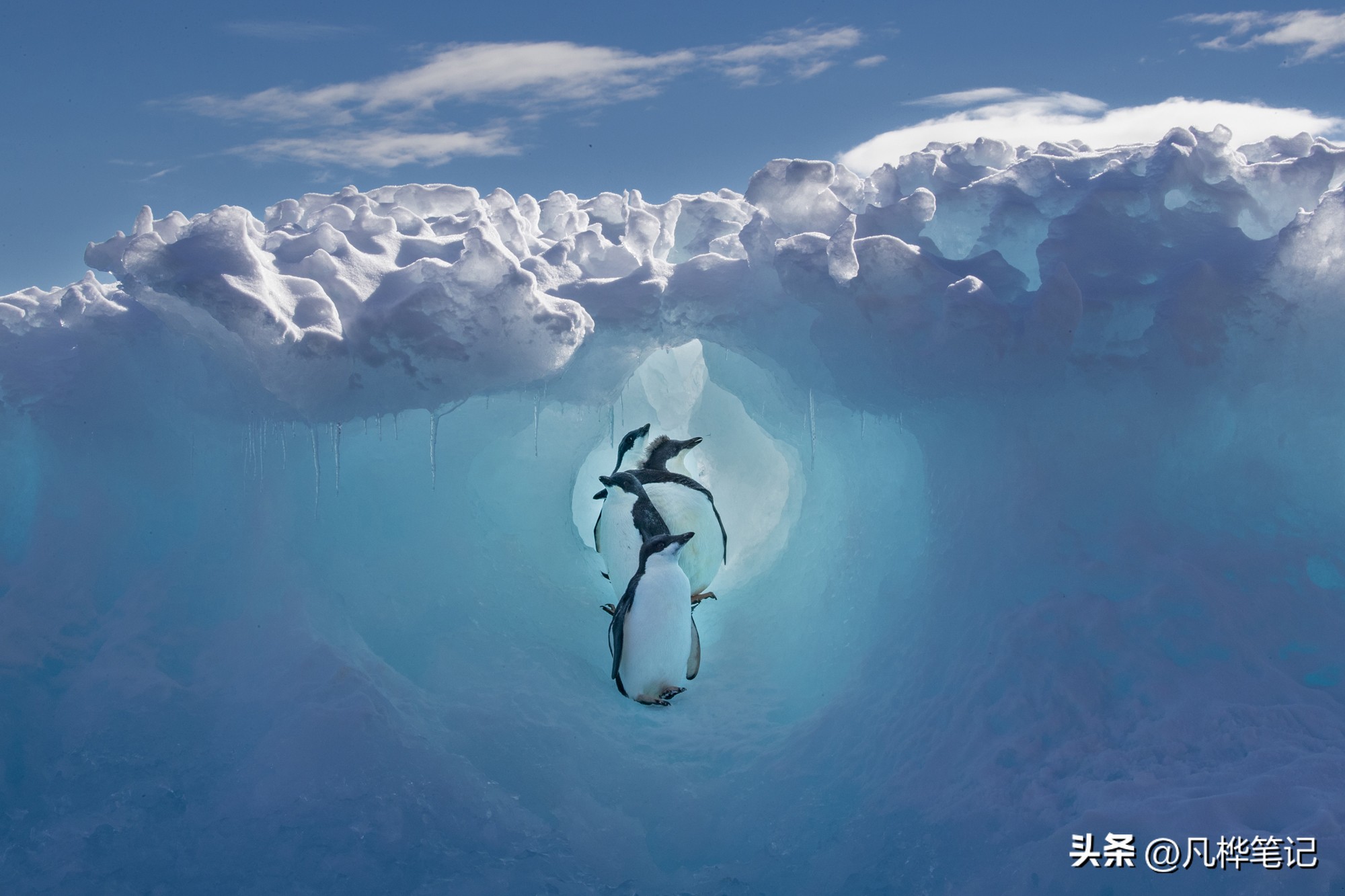 旅游摄影大赛征集,风景摄影大赛名称