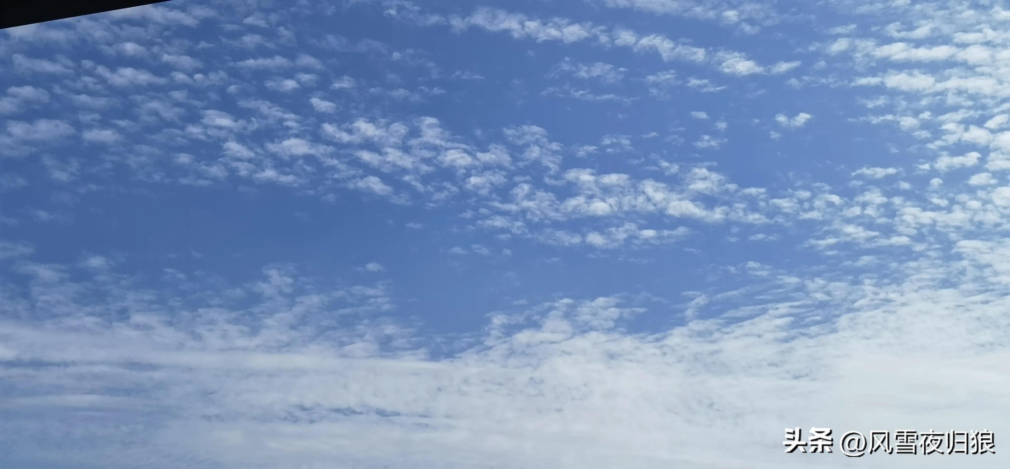 无字开头的老歌,无字歌完整内容