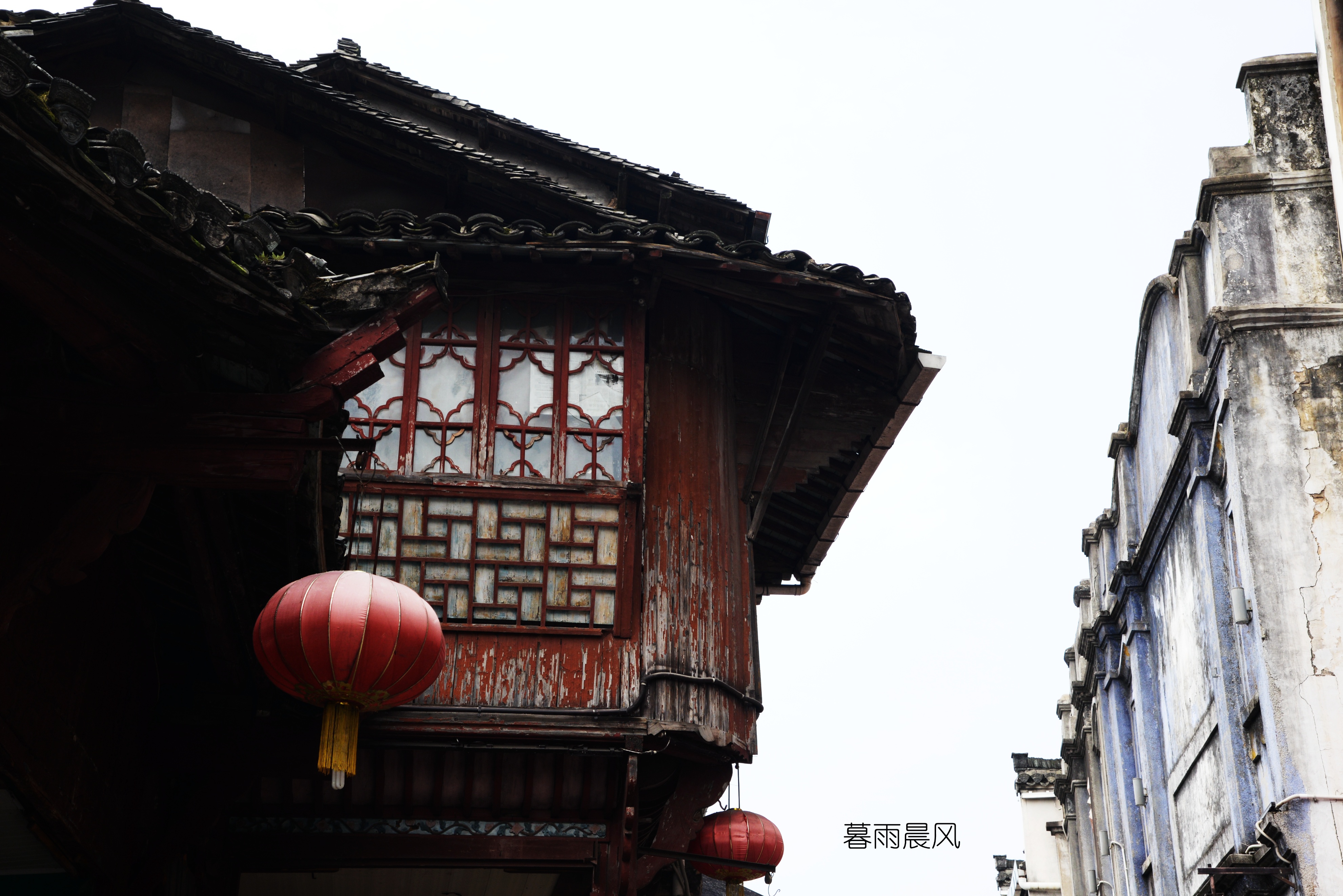 2014年黄山游,2014黄山银毫