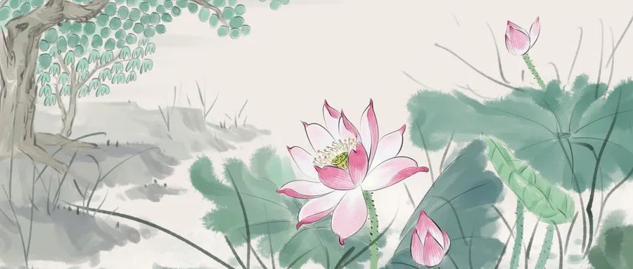 曲池荷卢照邻最新视频,曲池荷唐卢照邻古诗解析