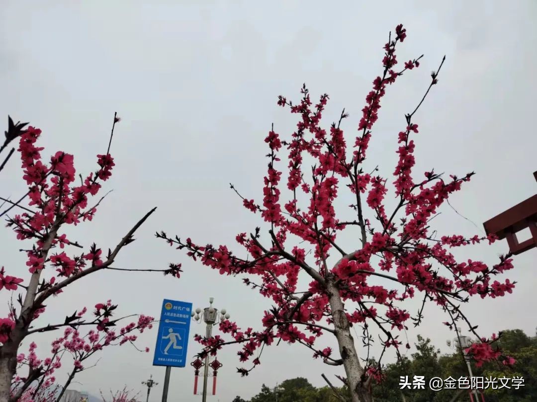 那一刻我长大了400字五年级,那一刻我长大了作文500字