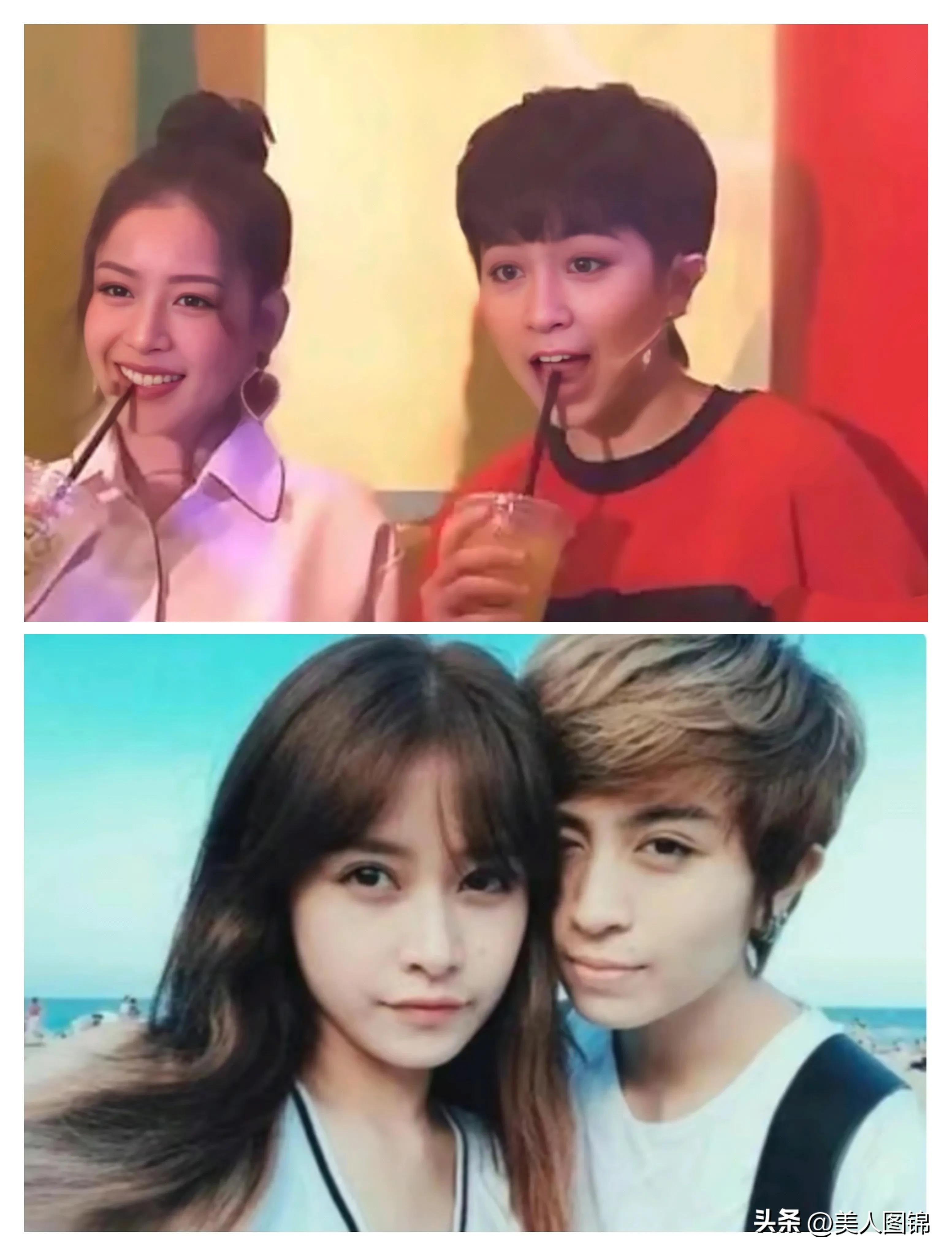 越南芝芙,芝芙越南