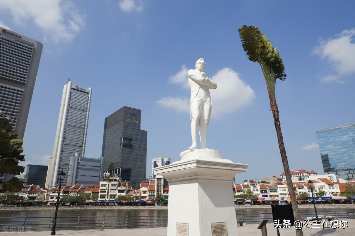 新加坡7个冷知识英文,世界上养猫最多的国家