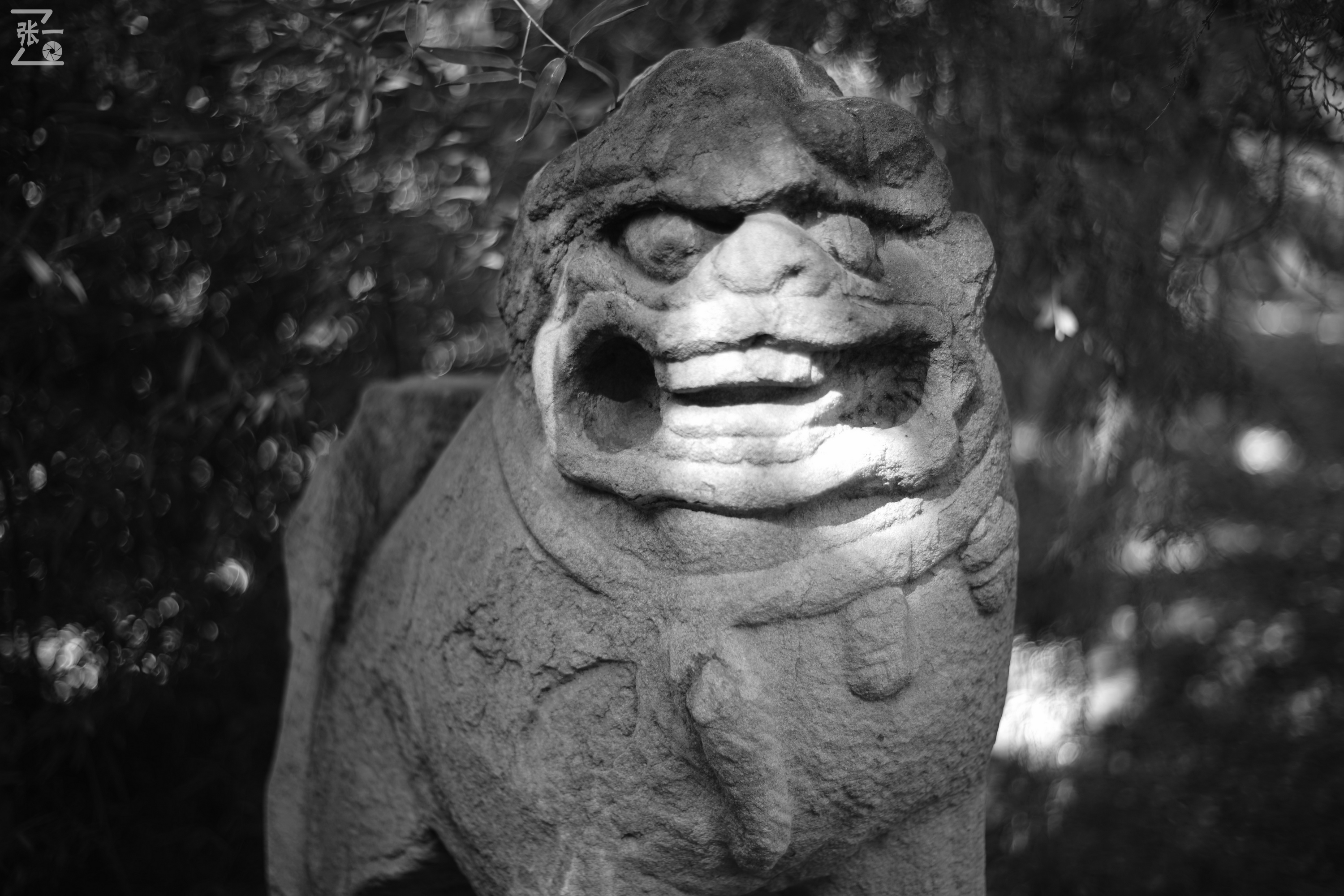 老镜头实拍,老镜头拍北京