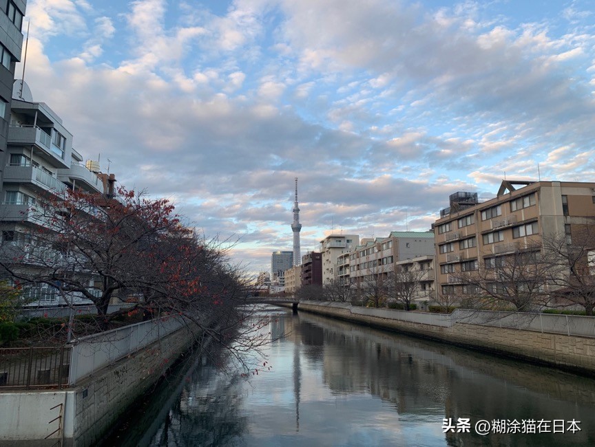去日本购买渔具攻略,日本机场免税渔具店