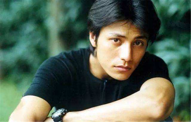 说出15个川渝地区的男明星,巴蜀美男子