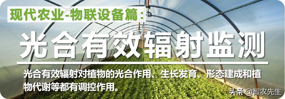 蔬菜种植提高效率的工具,作物种植好帮手