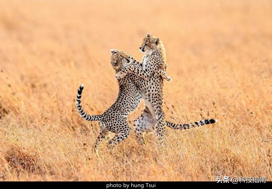 照片上的文字水印,照片水印版权