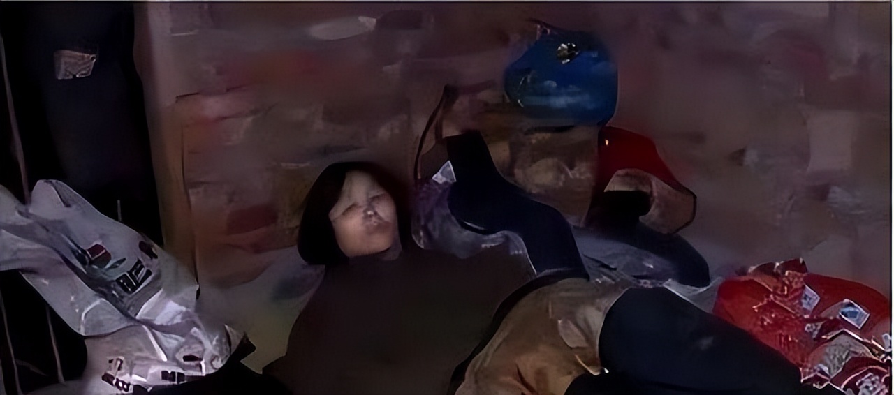 彭洪菊拐卖儿童事件 (人贩子彭洪菊案件)