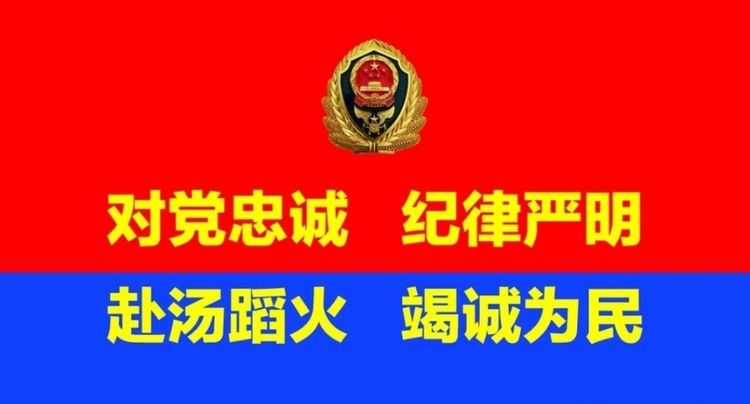 每一个生命都值得被救助,每一个生命都值得救助